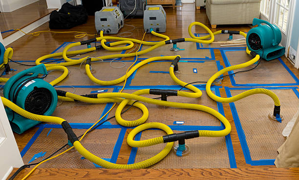 Professional Crawl Space Water Removal technician working in Woodburn, IN